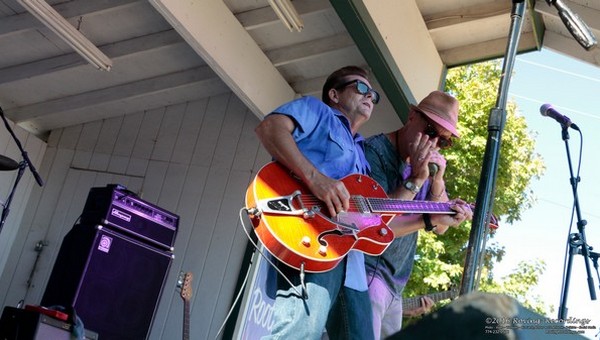 Neal & The Vipers @ Various Venues
