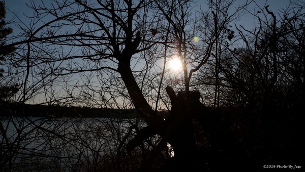 Roving Recordings Photography