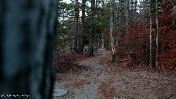 Roving Recordings Photography